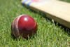 aboutcricket1
